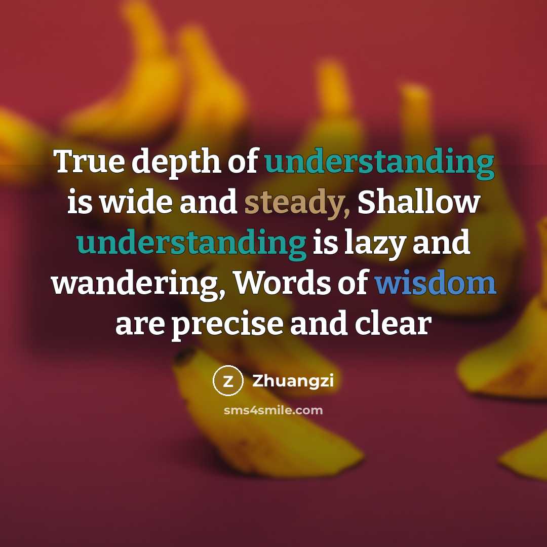 “True depth of understanding is wide and steady, Shallow understanding is lazy and wandering, Words of wisdom are precise and clear” quote by Zhuangzi