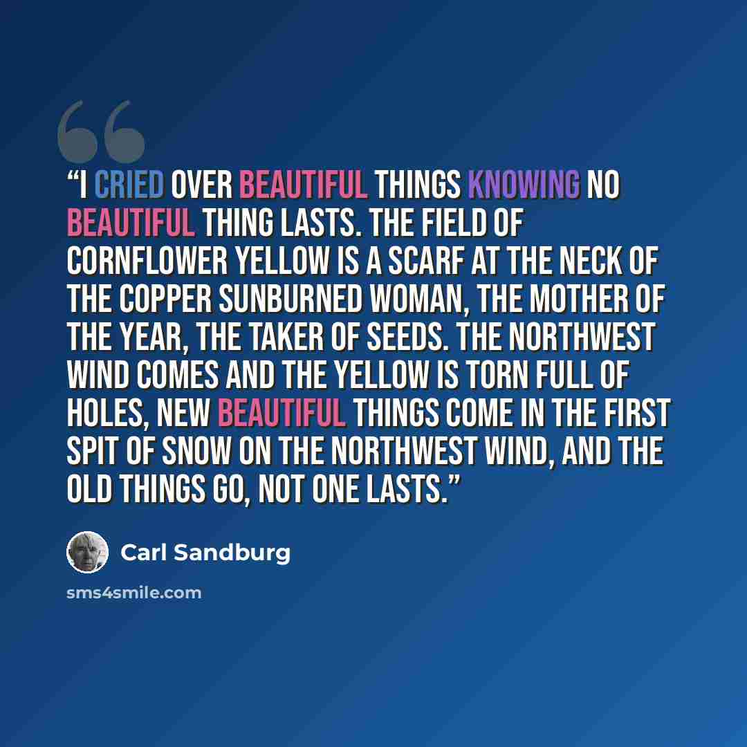 “I cried over beautiful things knowing no beautiful thing lasts. The field of cornflower yellow is a scarf at the neck of the copper sunburned woman, the mother of the year, the taker of seeds. The northwest wind comes and the yellow is torn full of holes, new beautiful things come in the first…” quote by Carl Sandburg