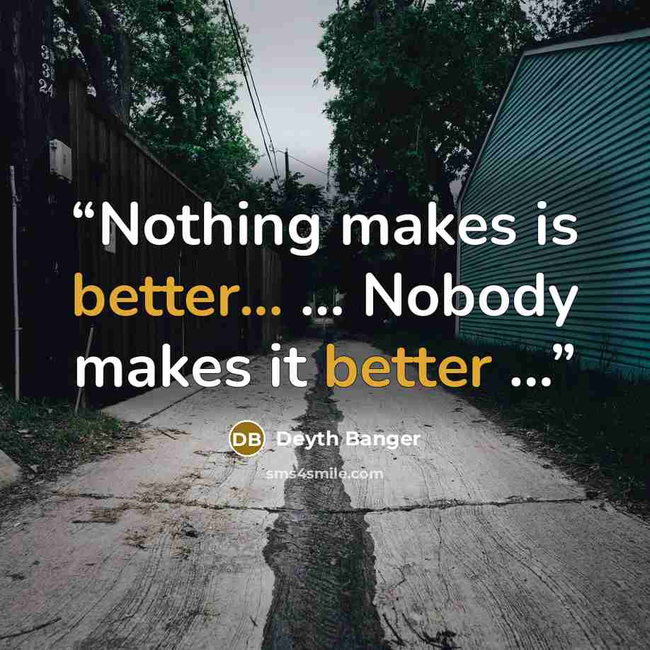 “Nothing makes is better... ... Nobody makes it better ...” quote by Deyth Banger