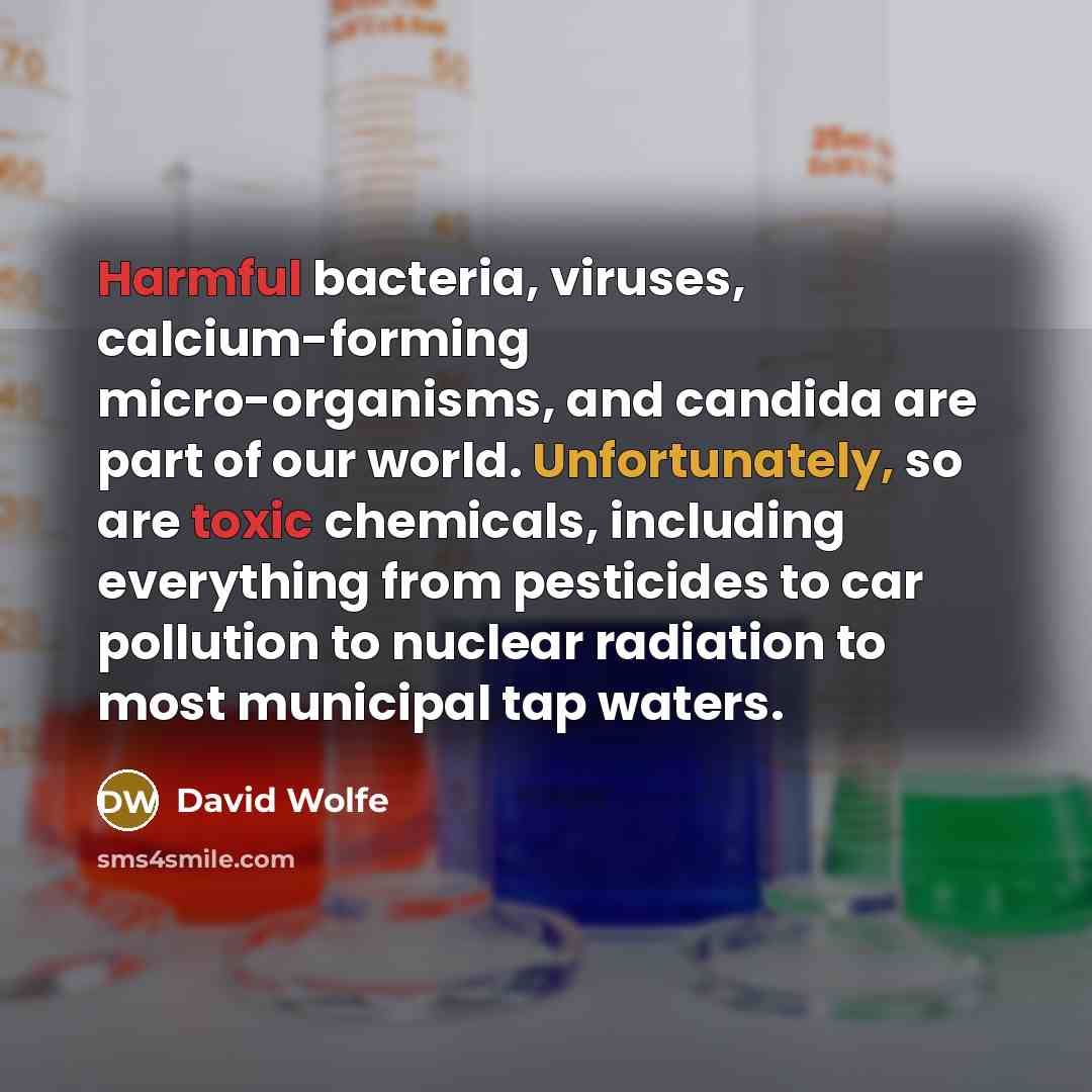 “Harmful bacteria, viruses, calcium-forming micro-organisms, and candida are part of our world. Unfortunately, so are toxic chemicals, including everything from pesticides to car pollution to nuclear radiation to most municipal tap waters.” quote by David Wolfe