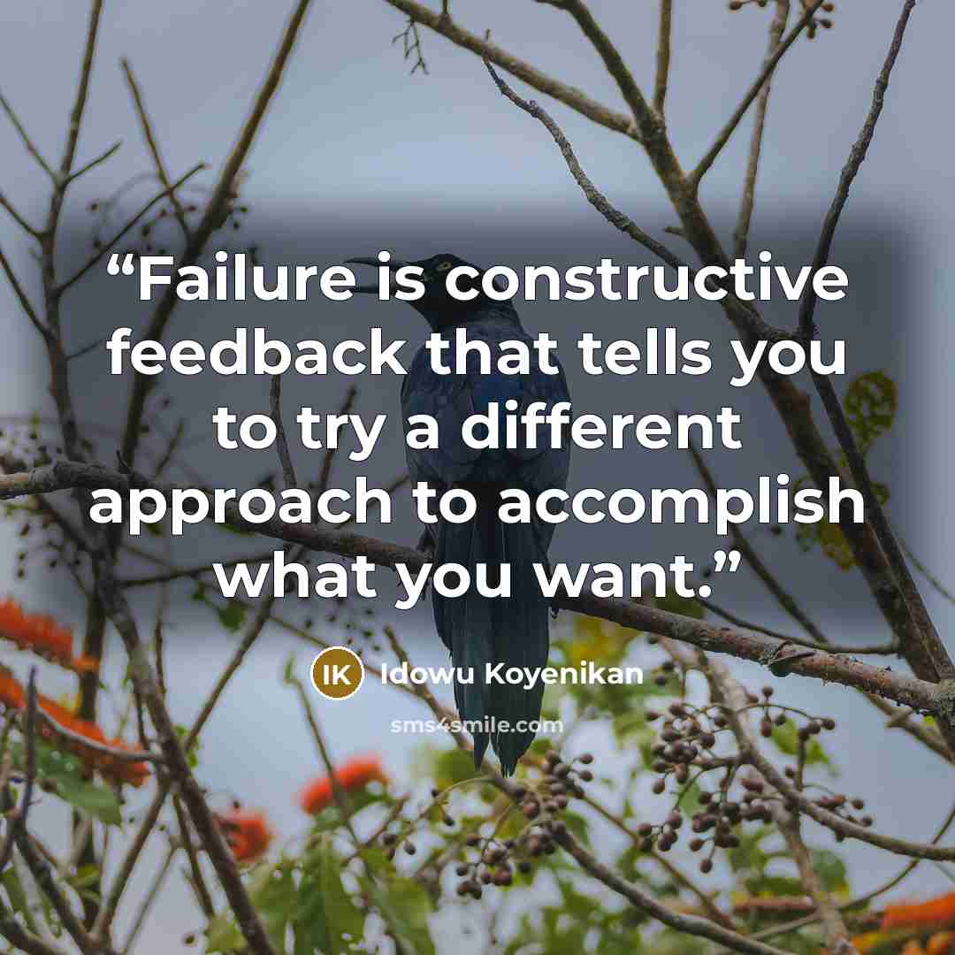 “Failure is constructive feedback that tells you to try a different approach to accomplish what you want.” quote by Idowu Koyenikan