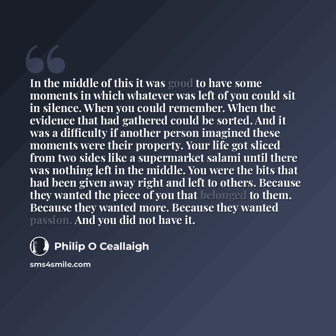 “In the middle of this it was good to have some moments in which whatever was left of you could sit in silence. When you could remember. When the evidence that had gathered could be sorted. And it was a difficulty if another person imagined these moments were their property. Your life got sliced…” quote by Philip O Ceallaigh