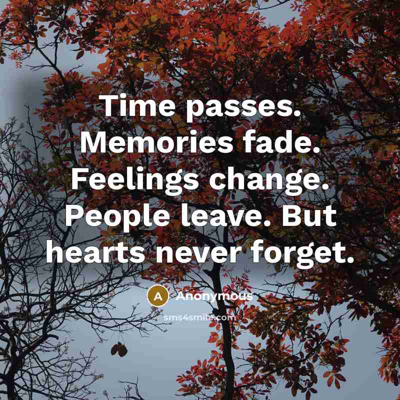 “Time passes. Memories fade. Feelings change. People leave. But hearts never forget.” quote by Anonymous