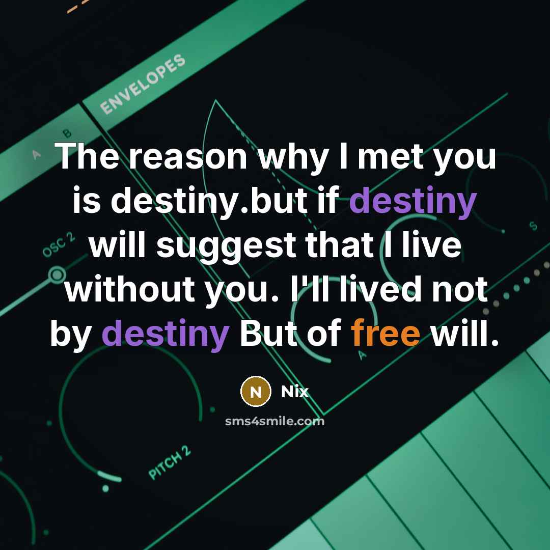 “The reason why I met you is destiny.but if destiny will suggest that I live without you. I'll lived not by destiny But of free will.” quote by Nix