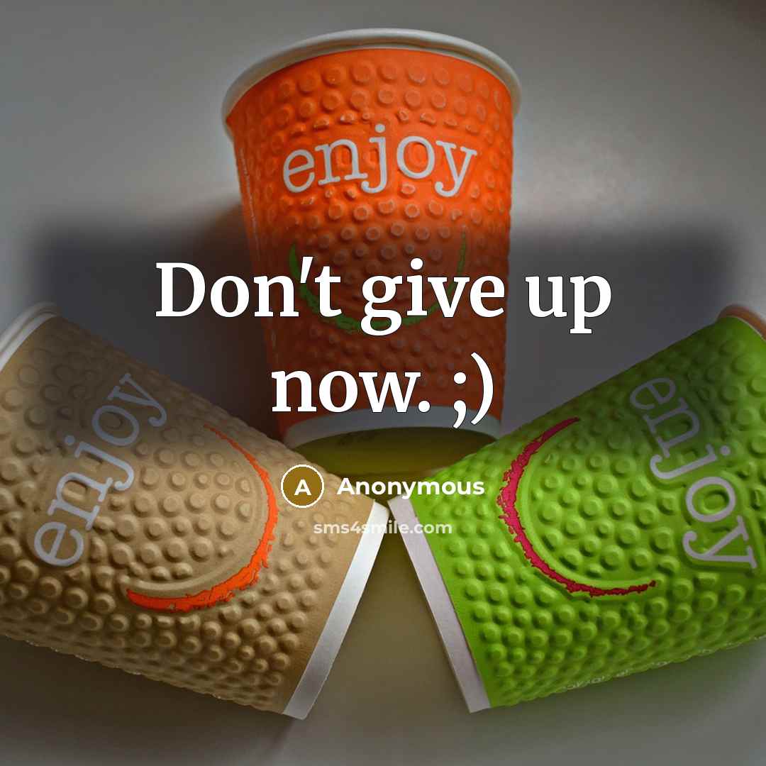 “Don't give up now. ;)” quote by Anonymous