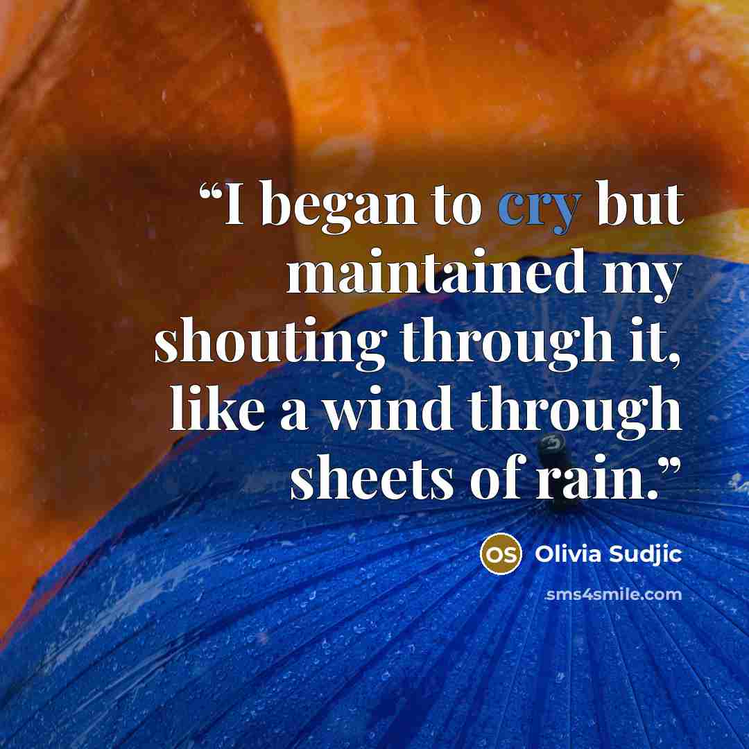 “I began to cry but maintained my shouting through it, like a wind through sheets of rain.” quote by Olivia Sudjic