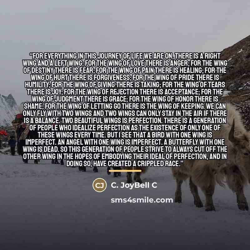 “For everything in this journey of life we are on, there is a right wing and a left wing: for the wing of love there is anger; for the wing of destiny there is fear; for the wing of pain there is healing; for the wing of hurt there is forgiveness; for the wing of pride there is humility; for the…” quote by C. JoyBell C