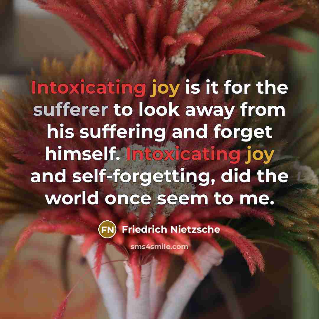 “Intoxicating joy is it for the sufferer to look away from his suffering and forget himself. Intoxicating joy and self-forgetting, did the world once seem to me.” quote by Friedrich Nietzsche