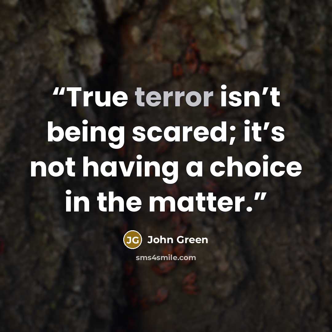 “True terror isn’t being scared; it’s not having a choice in the matter.” quote by John Green
