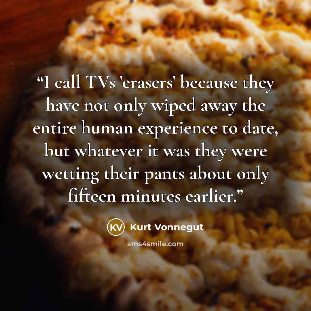 “I call TVs 'erasers' because they have not only wiped away the entire human experience to date, but whatever it was they were wetting their pants about only fifteen minutes earlier.” quote by Kurt Vonnegut