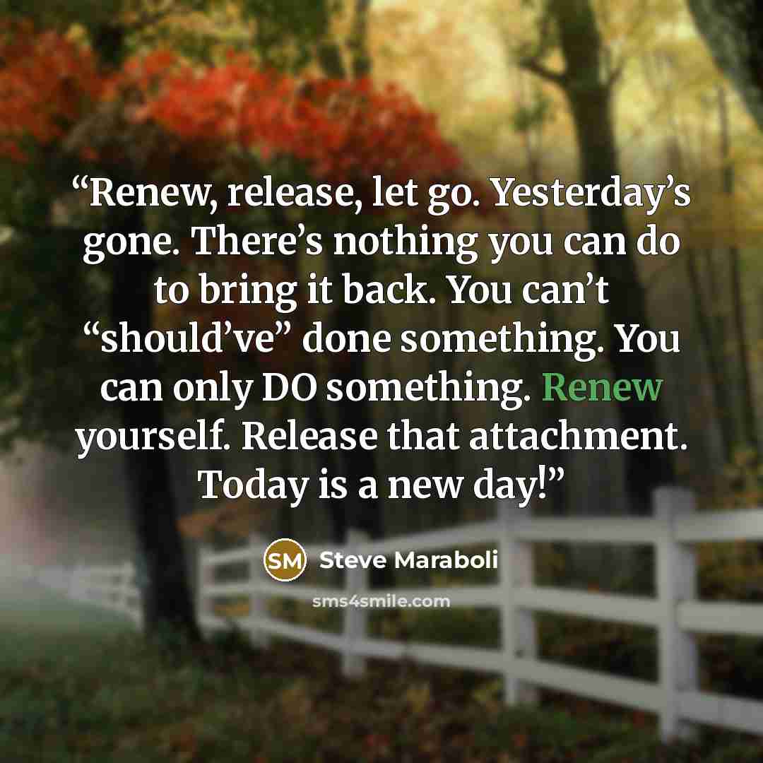“Renew, release, let go. Yesterday’s gone. There’s nothing you can do to bring it back. You can’t “should’ve” done something. You can only DO something. Renew yourself. Release that attachment. Today is a new day!” quote by Steve Maraboli
