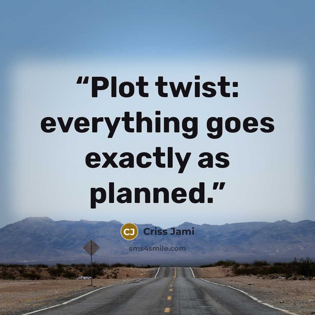 “Plot twist: everything goes exactly as planned.” quote by Criss Jami