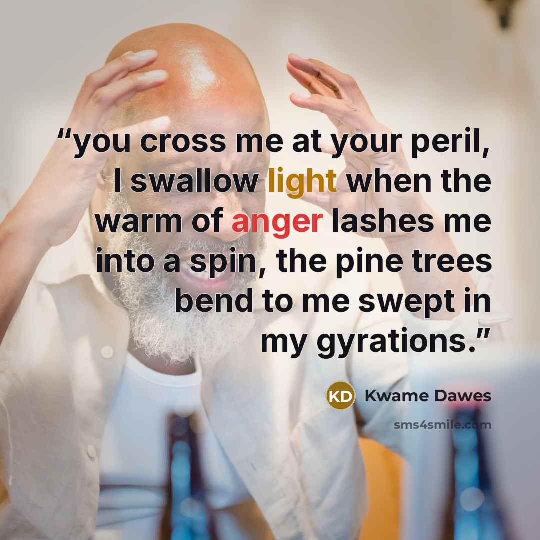 “you cross me at your peril, I swallow light when the warm of anger lashes me into a spin, the pine trees bend to me swept in my gyrations.” quote by Kwame Dawes