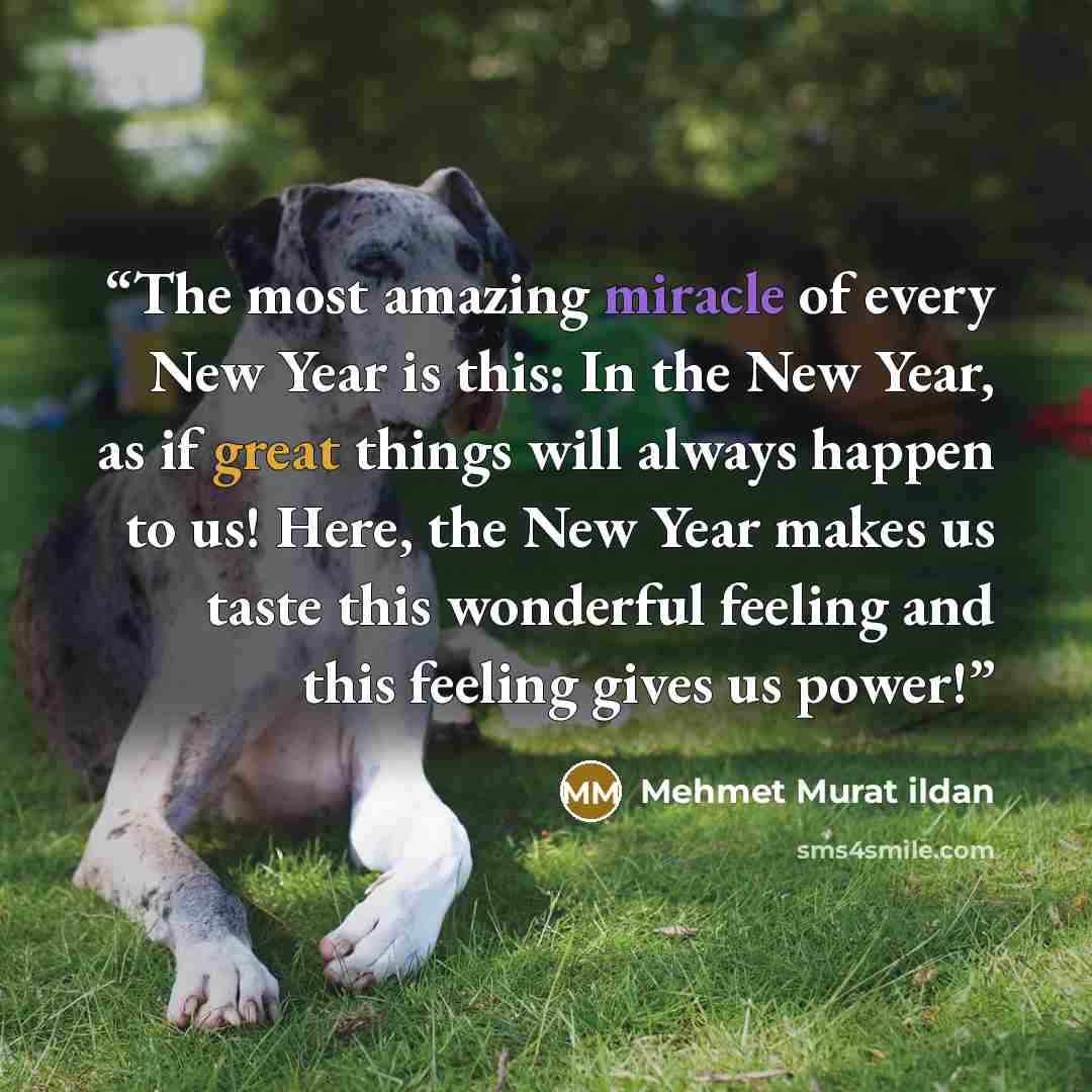 “The most amazing miracle of every New Year is this: In the New Year, as if great things will always happen to us! Here, the New Year makes us taste this wonderful feeling and this feeling gives us power!” quote by Mehmet Murat ildan