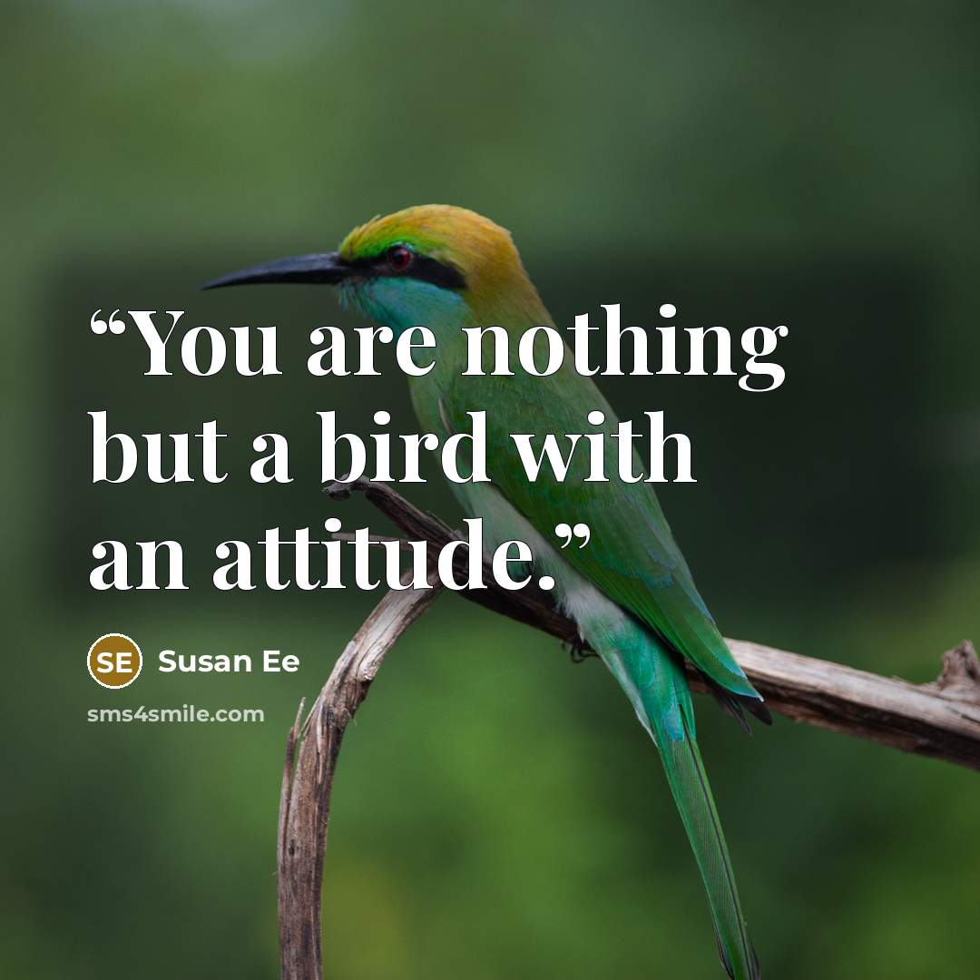 “You are nothing but a bird with an attitude.” quote by Susan Ee