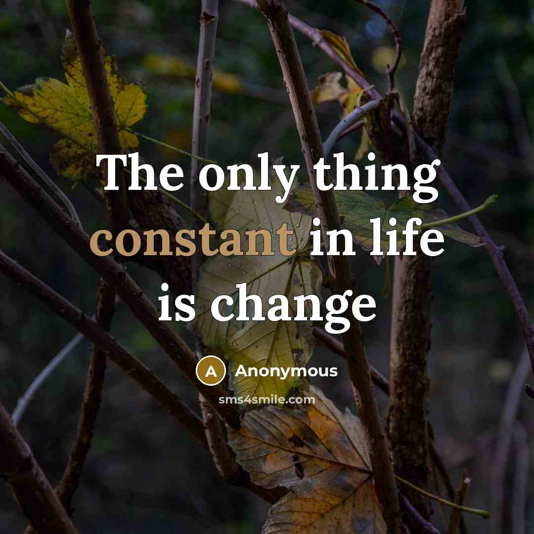 “The only thing constant in life is change” quote by Anonymous