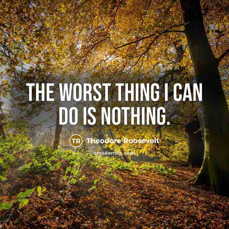 “The worst thing I can do is nothing.” quote by Theodore Roosevelt