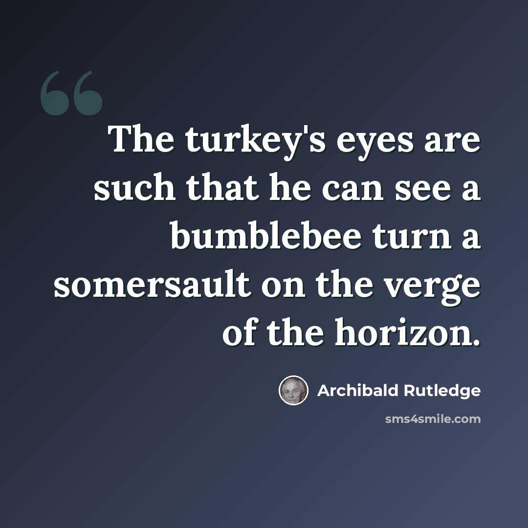 “The turkey's eyes are such that he can see a bumblebee turn a somersault on the verge of the horizon.” quote by Archibald Rutledge