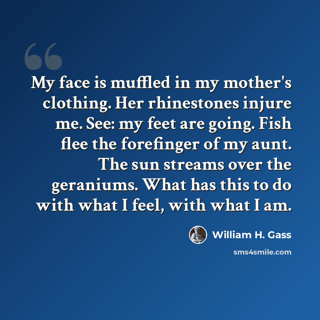 “My face is muffled in my mother's clothing. Her rhinestones injure me. See: my feet are going. Fish flee the forefinger of my aunt. The sun streams over the geraniums. What has this to do with what I feel, with what I am.” quote by William H. Gass