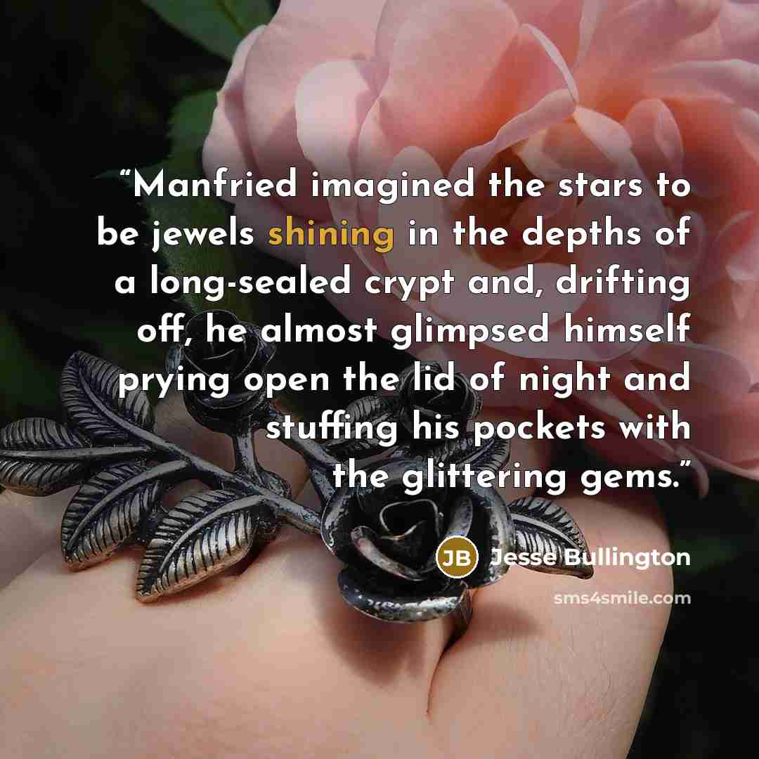 “Manfried imagined the stars to be jewels shining in the depths of a long-sealed crypt and, drifting off, he almost glimpsed himself prying open the lid of night and stuffing his pockets with the glittering gems.” quote by Jesse Bullington