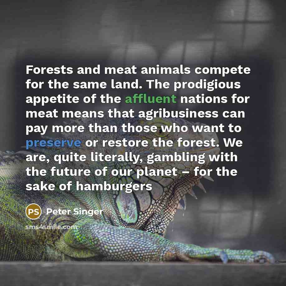“Forests and meat animals compete for the same land. The prodigious appetite of the affluent nations for meat means that agribusiness can pay more than those who want to preserve or restore the forest. We are, quite literally, gambling with the future of our planet – for the sake of hamburgers” quote by Peter Singer