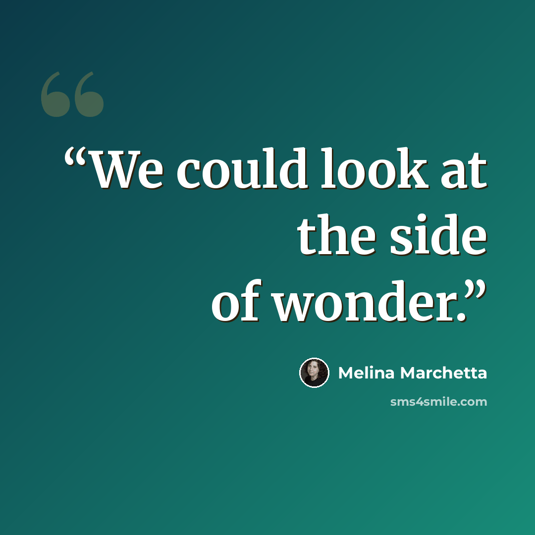 “We could look at the side of wonder.” quote by Melina Marchetta