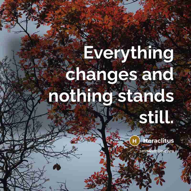 “Everything changes and nothing stands still.” quote by Heraclitus