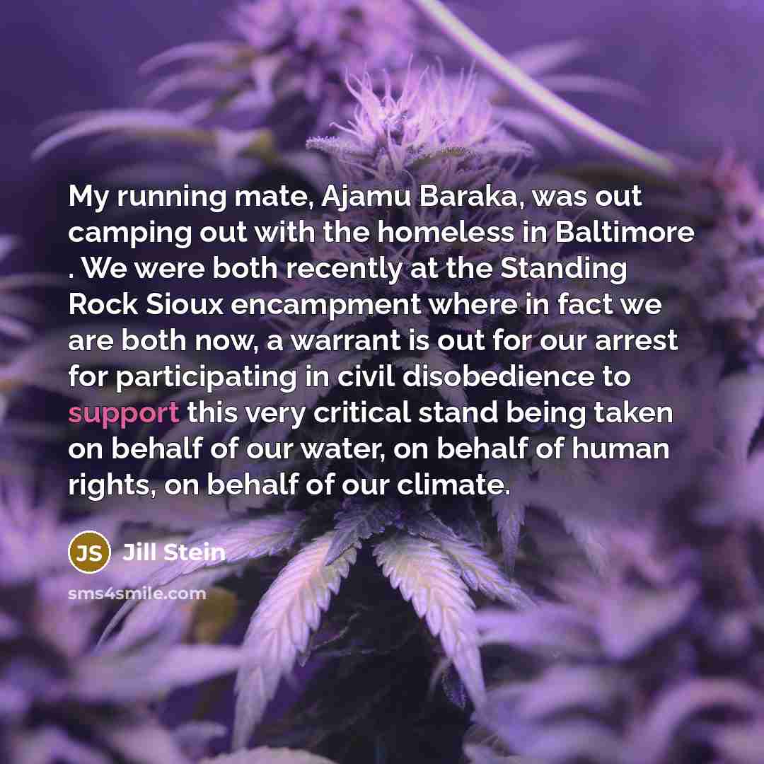 “My running mate, Ajamu Baraka, was out camping out with the homeless in Baltimore . We were both recently at the Standing Rock Sioux encampment where in fact we are both now, a warrant is out for our arrest for participating in civil disobedience to support this very critical stand being taken on…” quote by Jill Stein
