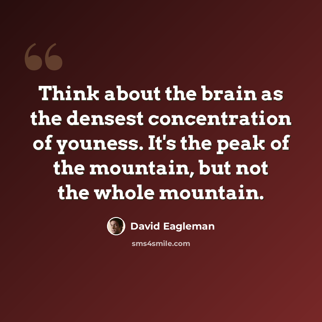 “Think about the brain as the densest concentration of youness. It's the peak of the mountain, but not the whole mountain.” quote by David Eagleman
