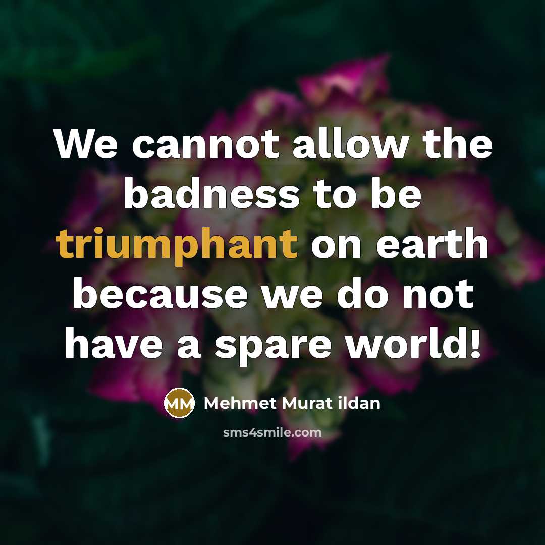 “We cannot allow the badness to be triumphant on earth because we do not have a spare world!” quote by Mehmet Murat Ildan