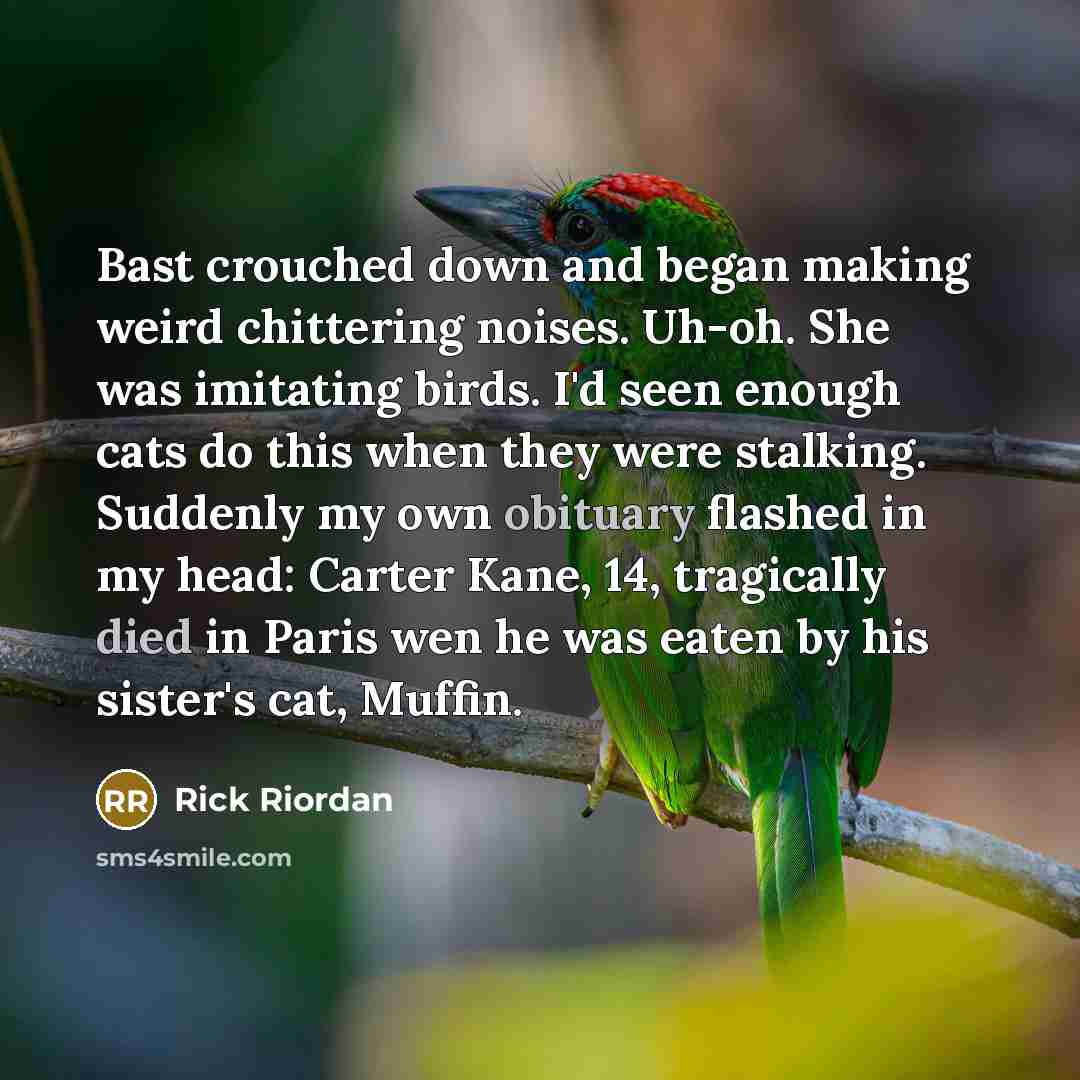 “Bast crouched down and began making weird chittering noises. Uh-oh. She was imitating birds. I'd seen enough cats do this when they were stalking. Suddenly my own obituary flashed in my head: Carter Kane, 14, tragically died in Paris wen he was eaten by his sister's cat, Muffin.” quote by Rick Riordan