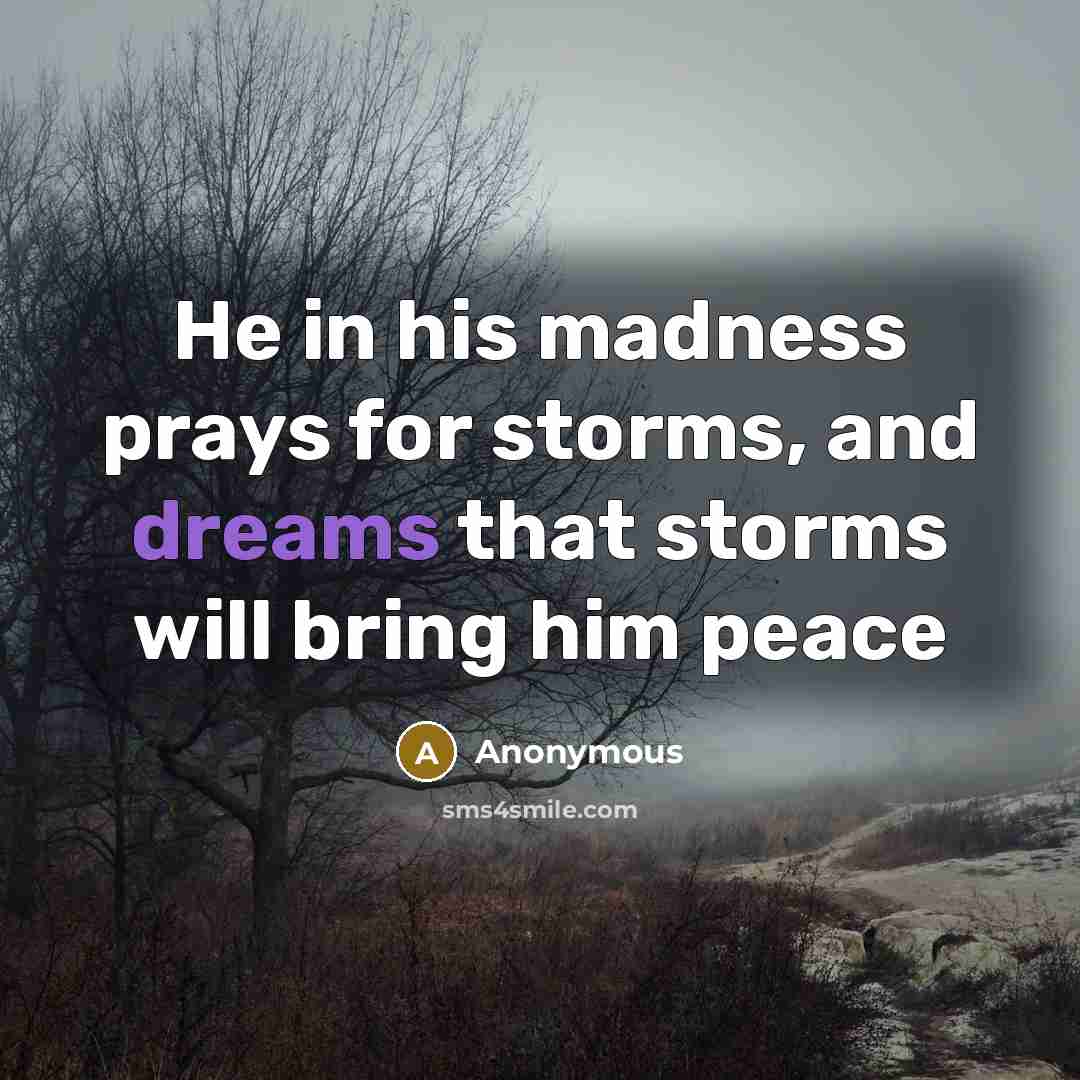 “He in his madness prays for storms, and dreams that storms will bring him peace” quote by Anonymous