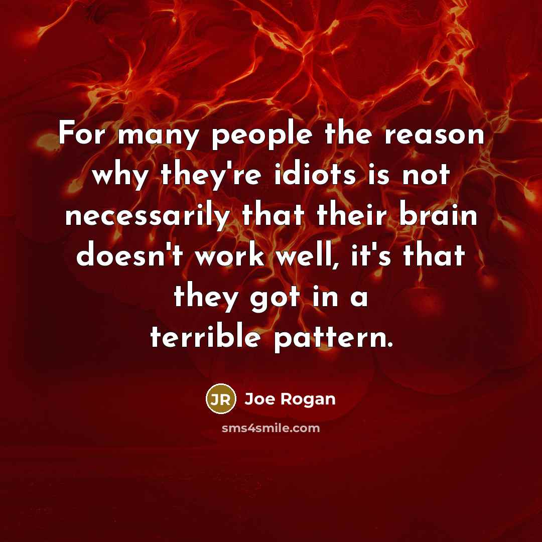 “For many people the reason why they're idiots is not necessarily that their brain doesn't work well, it's that they got in a terrible pattern.” quote by Joe Rogan
