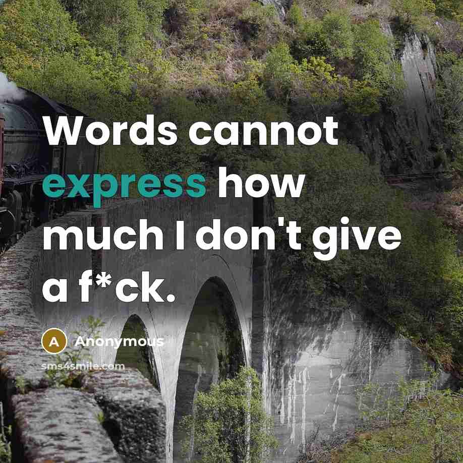 “Words cannot express how much I don't give a f*ck.” quote by Anonymous