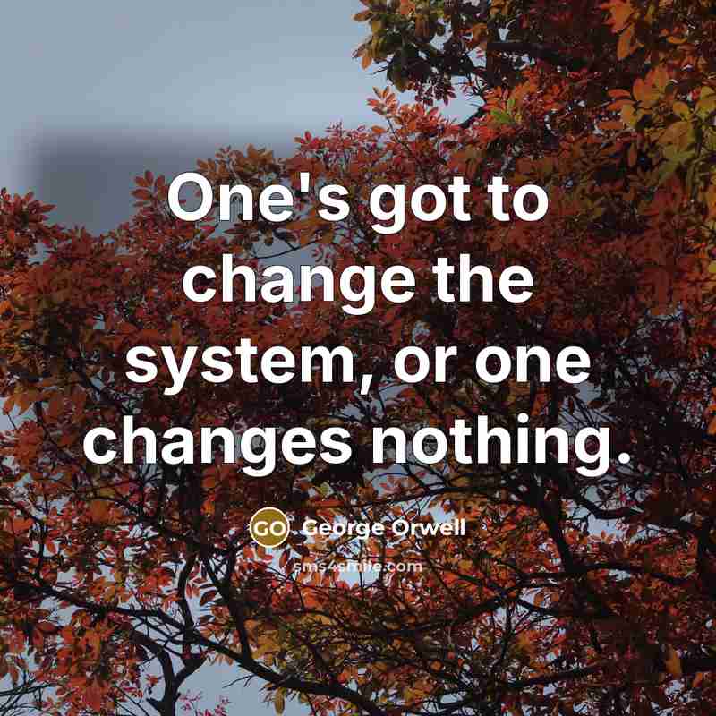 “One's got to change the system, or one changes nothing.” quote by George Orwell
