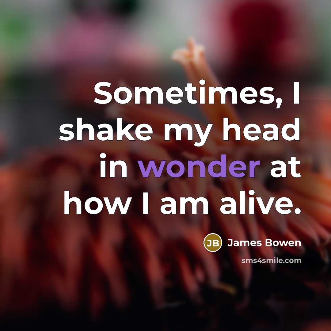 “Sometimes, I shake my head in wonder at how I am alive.” quote by James Bowen
