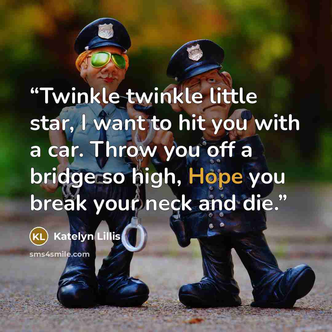 “Twinkle twinkle little star, I want to hit you with a car. Throw you off a bridge so high, Hope you break your neck and die.” quote by Katelyn Lillis