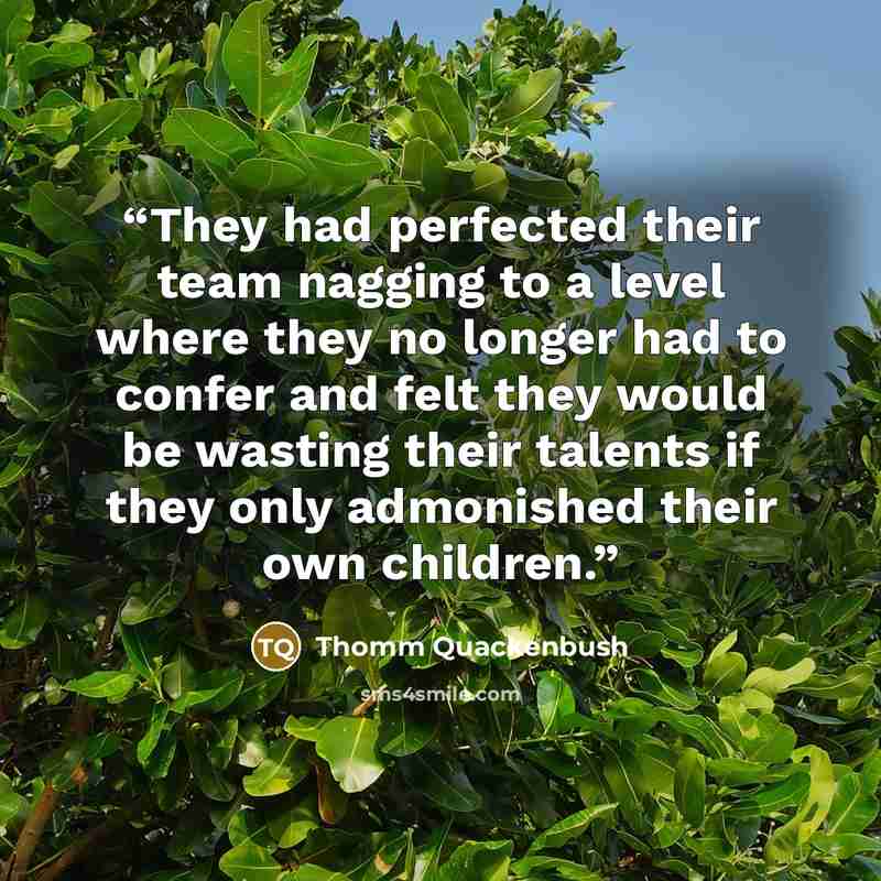 “They had perfected their team nagging to a level where they no longer had to confer and felt they would be wasting their talents if they only admonished their own children.” quote by Thomm Quackenbush