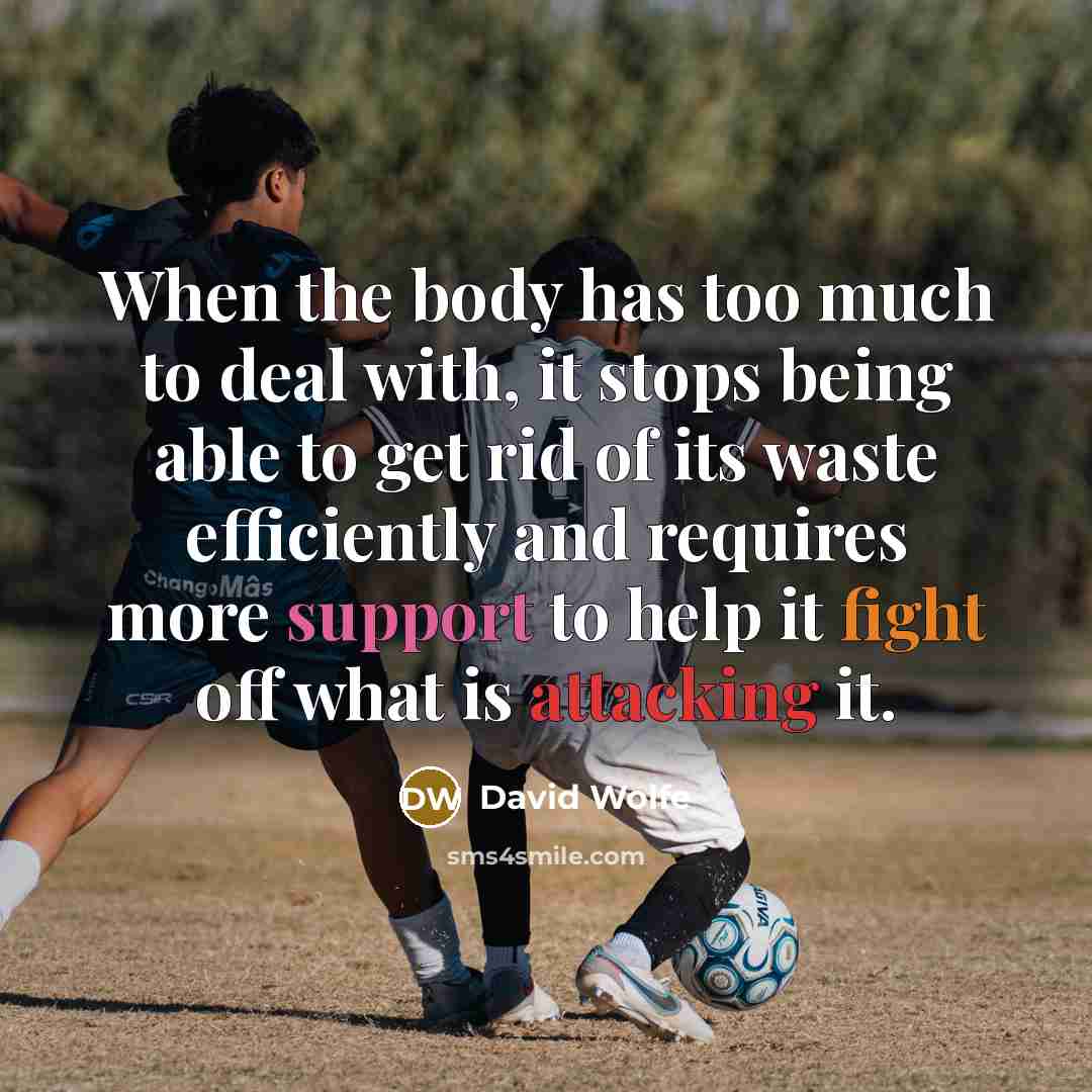 “When the body has too much to deal with, it stops being able to get rid of its waste efficiently and requires more support to help it fight off what is attacking it.” quote by David Wolfe