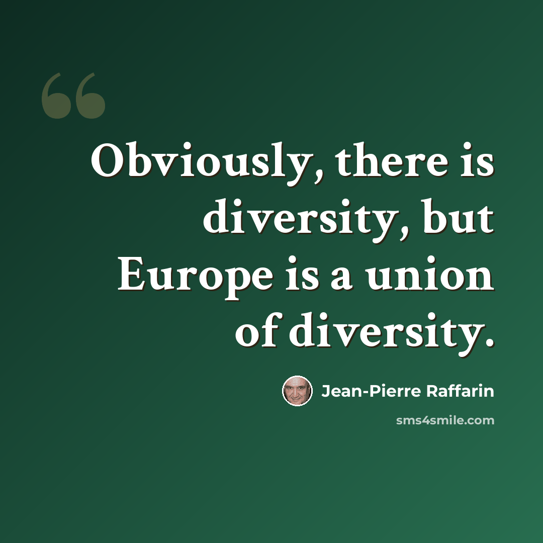 “Obviously, there is diversity, but Europe is a union of diversity.” quote by Jean-Pierre Raffarin