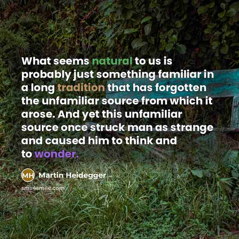 “What seems natural to us is probably just something familiar in a long tradition that has forgotten the unfamiliar source from which it arose. And yet this unfamiliar source once struck man as strange and caused him to think and to wonder.” quote by Martin Heidegger