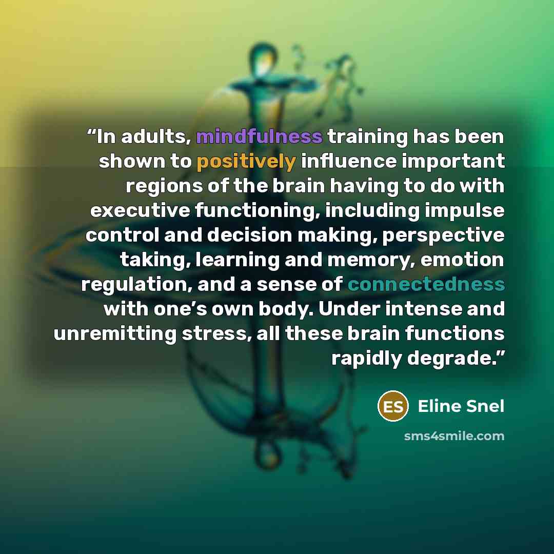 “In adults, mindfulness training has been shown to positively influence important regions of the brain having to do with executive functioning, including impulse control and decision making, perspective taking, learning and memory, emotion regulation, and a sense of connectedness with one’s own…” quote by Eline Snel