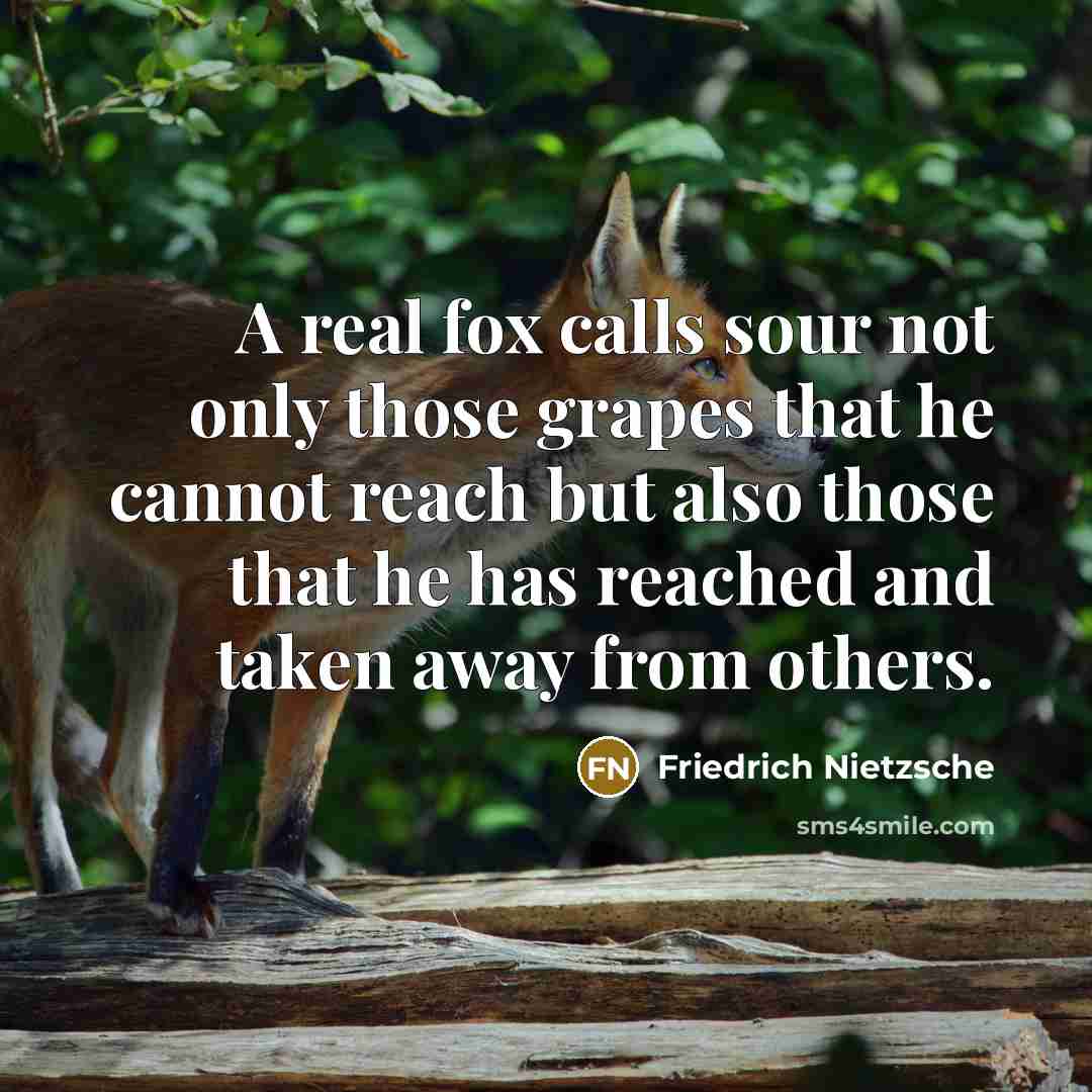 “A real fox calls sour not only those grapes that he cannot reach but also those that he has reached and taken away from others.” quote by Friedrich Nietzsche
