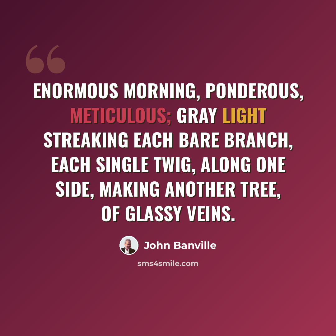 “Enormous morning, ponderous, meticulous; gray light streaking each bare branch, each single twig, along one side, making another tree, of glassy veins.” quote by John Banville