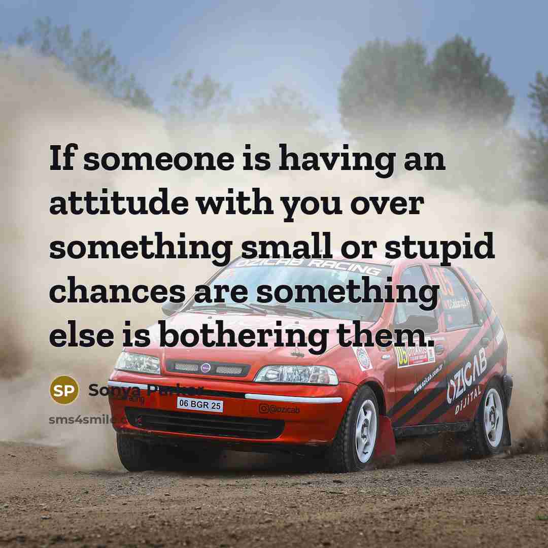 “If someone is having an attitude with you over something small or stupid chances are something else is bothering them.” quote by SONYA PARKER
