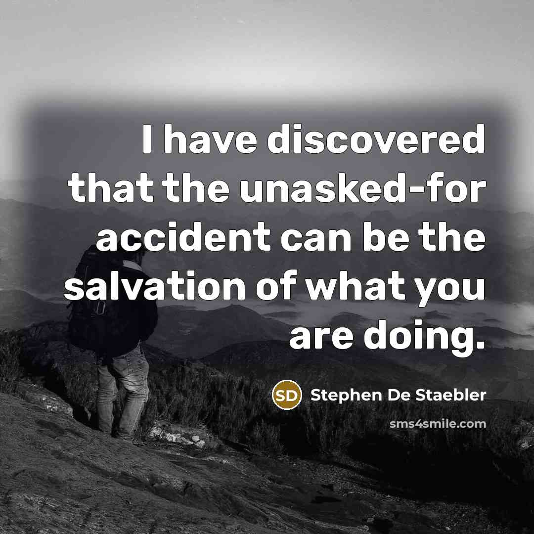 “I have discovered that the unasked-for accident can be the salvation of what you are doing.” quote by Stephen De Staebler
