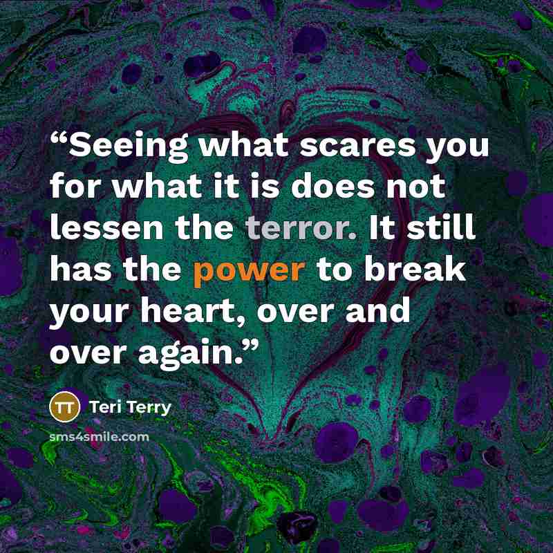 “Seeing what scares you for what it is does not lessen the terror. It still has the power to break your heart, over and over again.” quote by Teri Terry