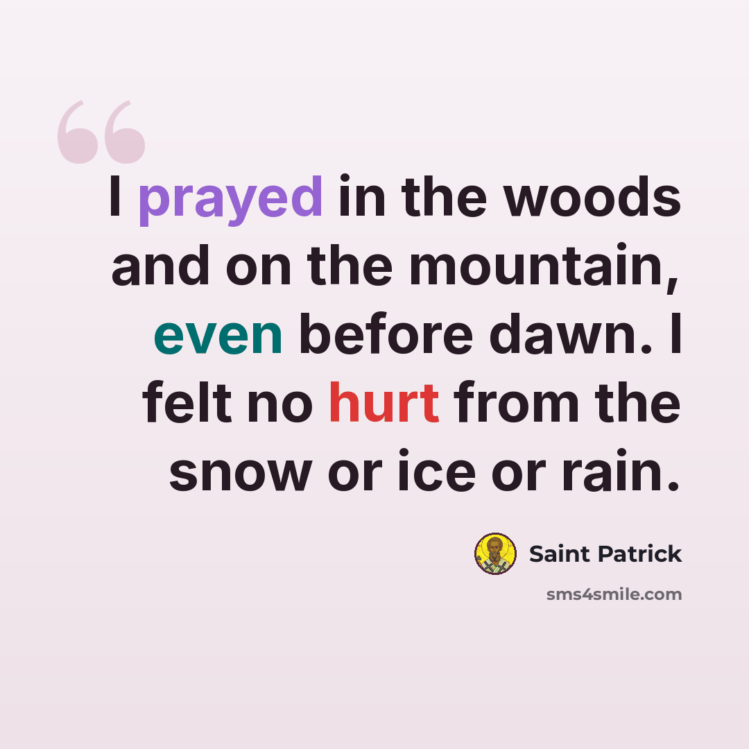 “I prayed in the woods and on the mountain, even before dawn. I felt no hurt from the snow or ice or rain.” quote by Saint Patrick