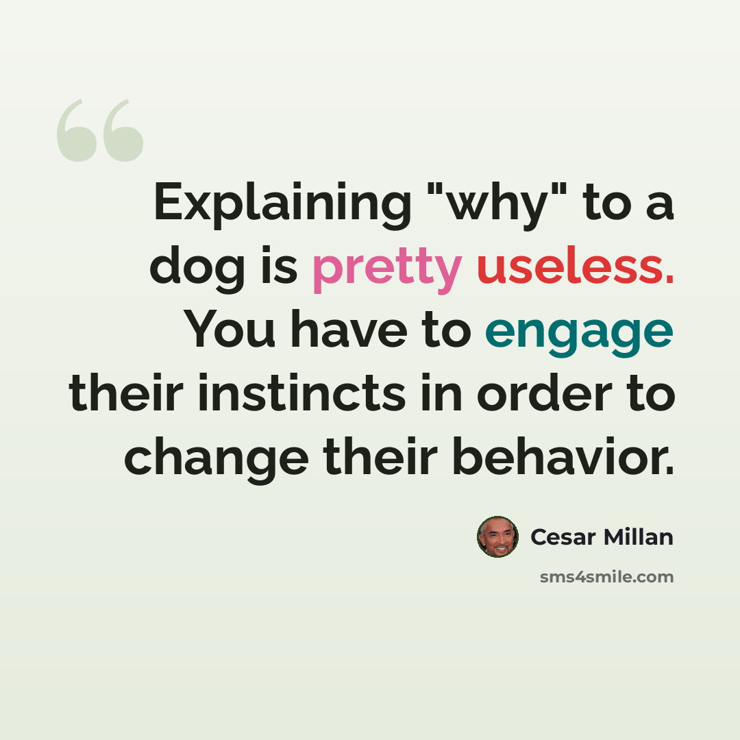 “Explaining "why" to a dog is pretty useless. You have to engage their instincts in order to change their behavior.” quote by Cesar Millan