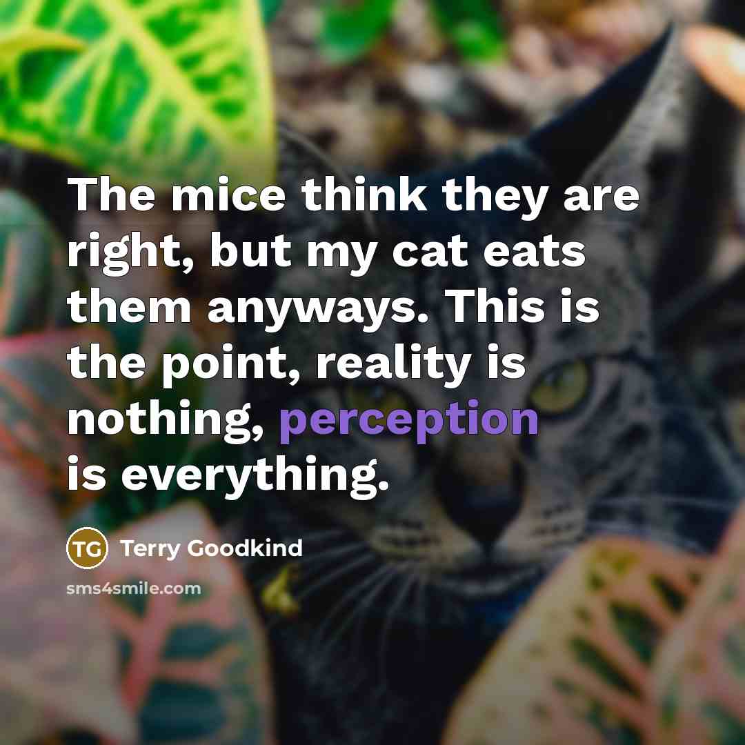 “The mice think they are right, but my cat eats them anyways. This is the point, reality is nothing, perception is everything.” quote by Terry Goodkind
